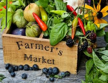Fresh Vegetables at a Farmers Market