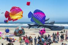 Lincoln City Kite Festival
