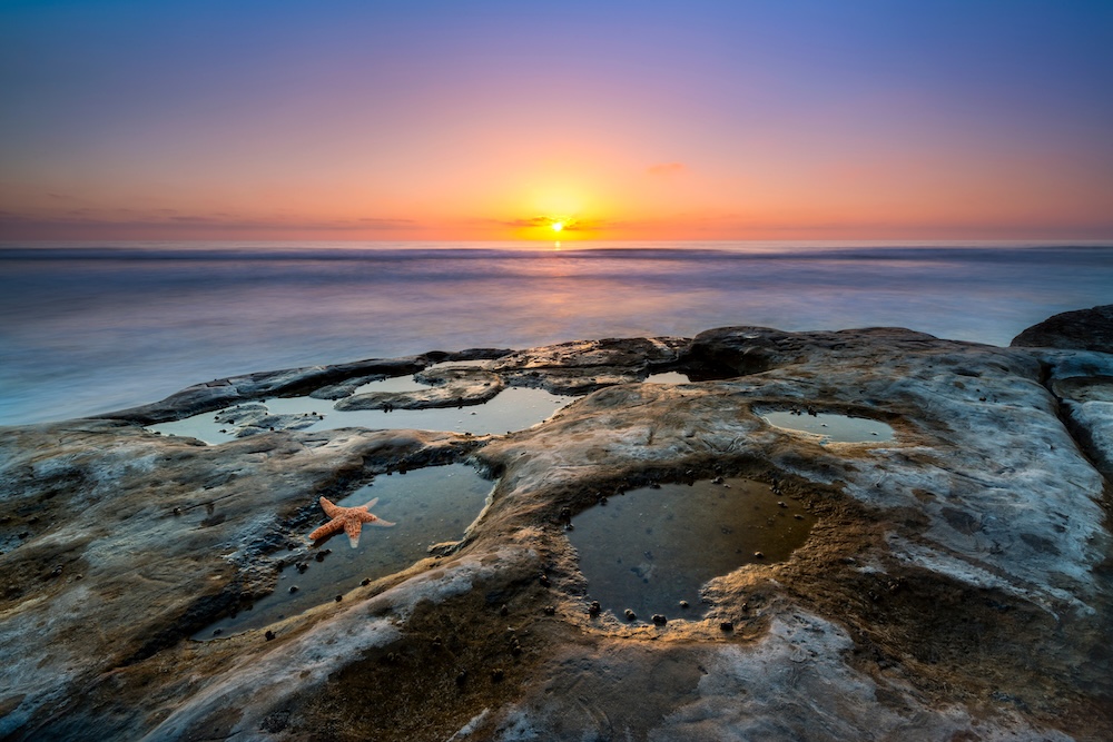 Tide pool shoreline sunset