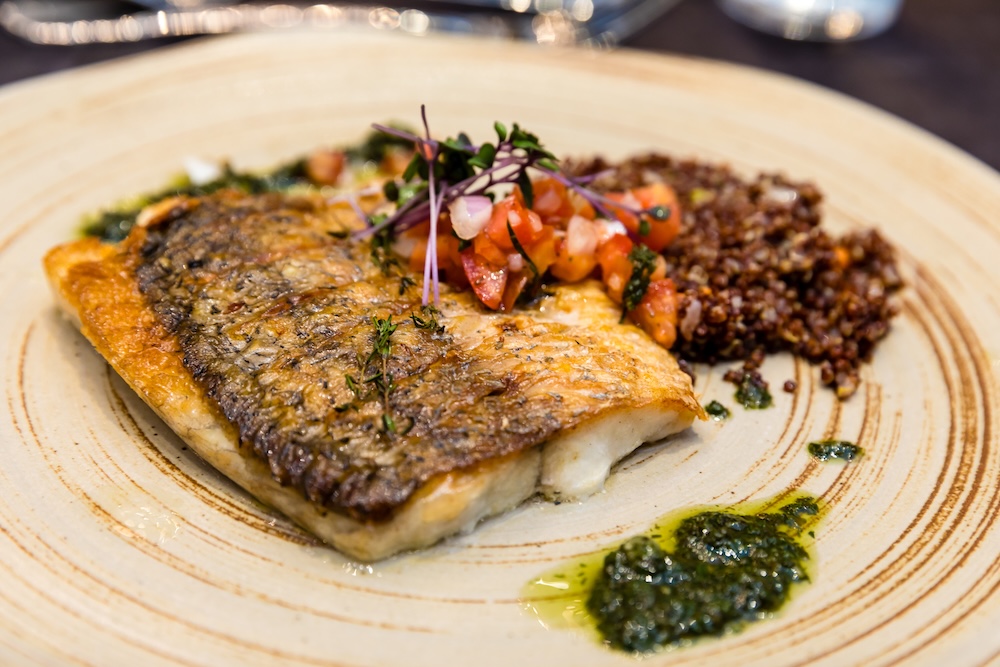 Grilled line caught sea bass fish