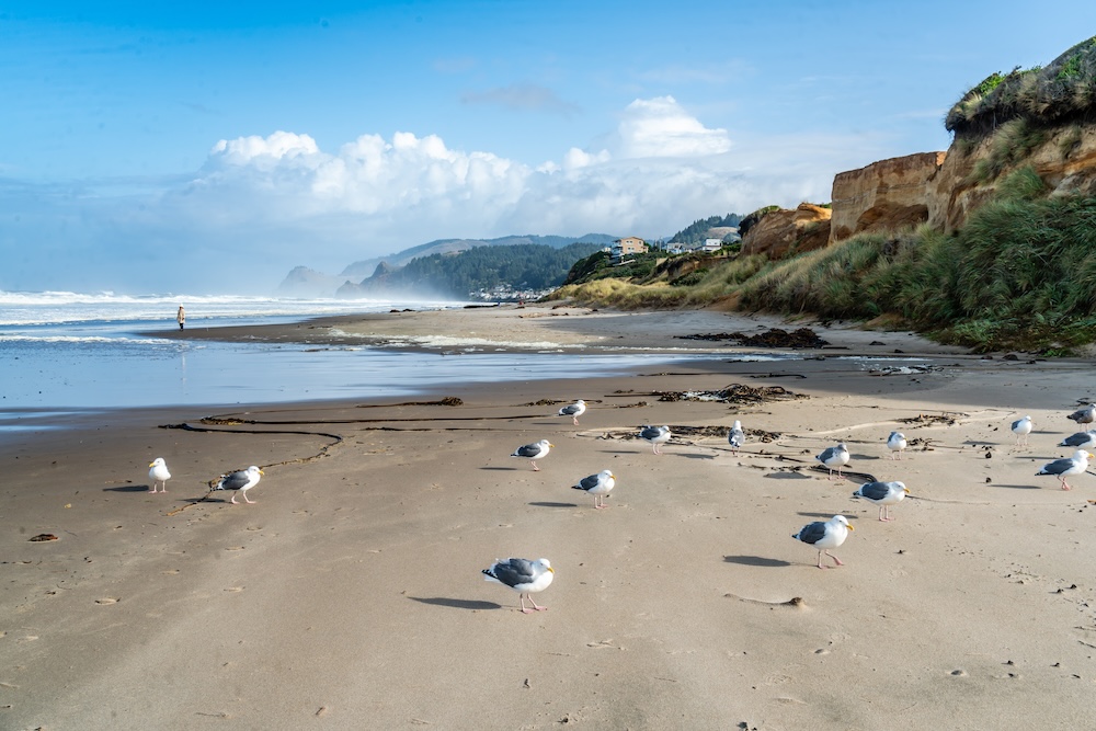 lincoln city beach