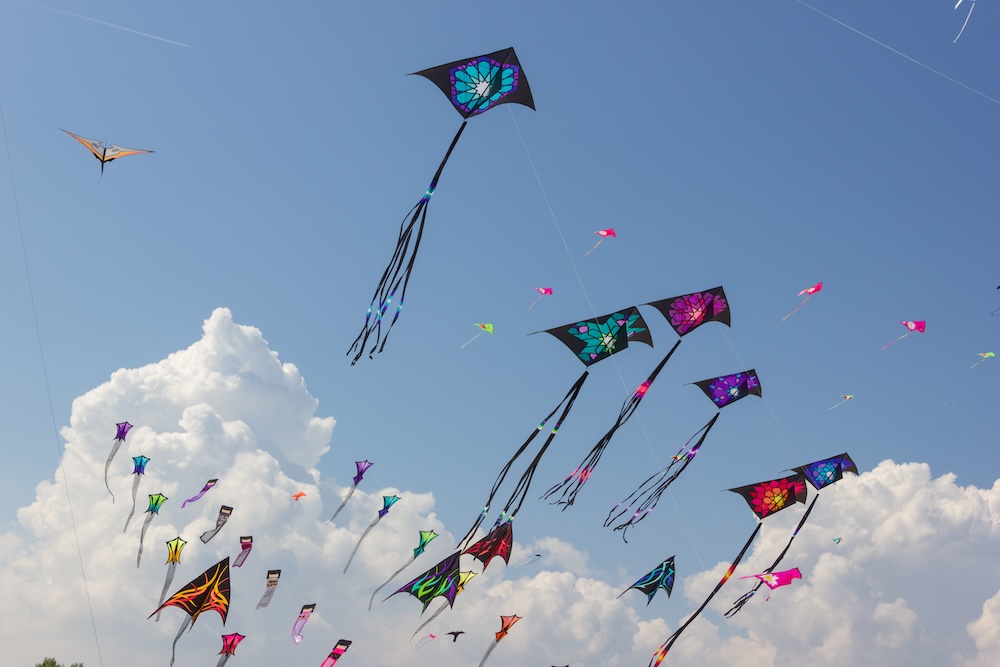 Kite FEstival