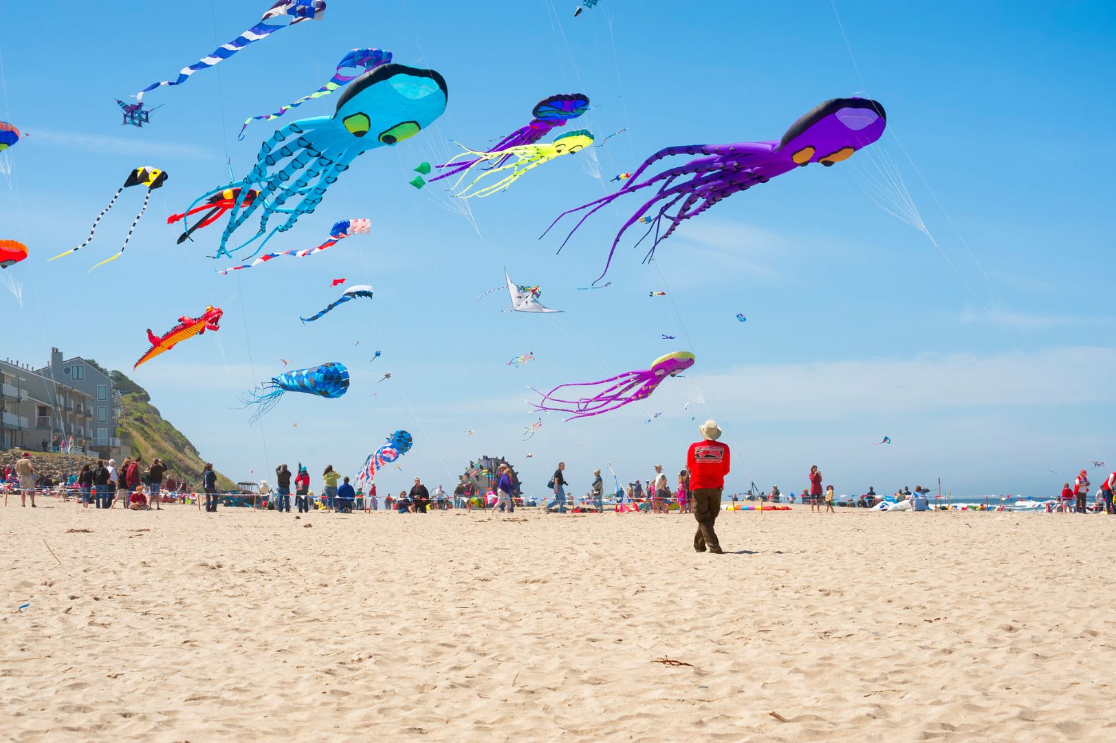 Kite Flying on the beach in Lincoln City
